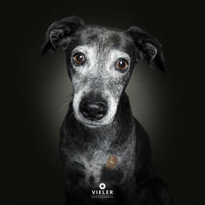 15. Soft gaze, strong spirit