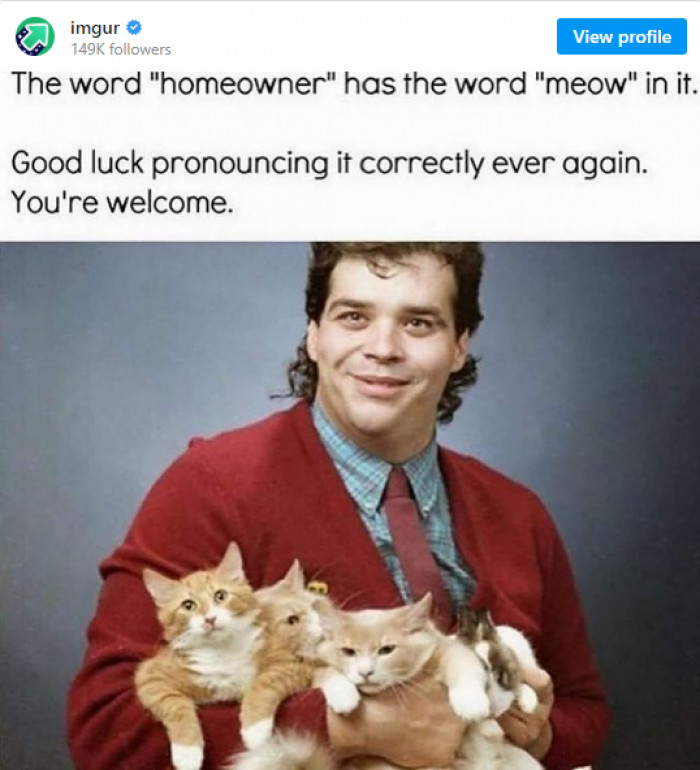 13. They've got me hooked on this fact forever