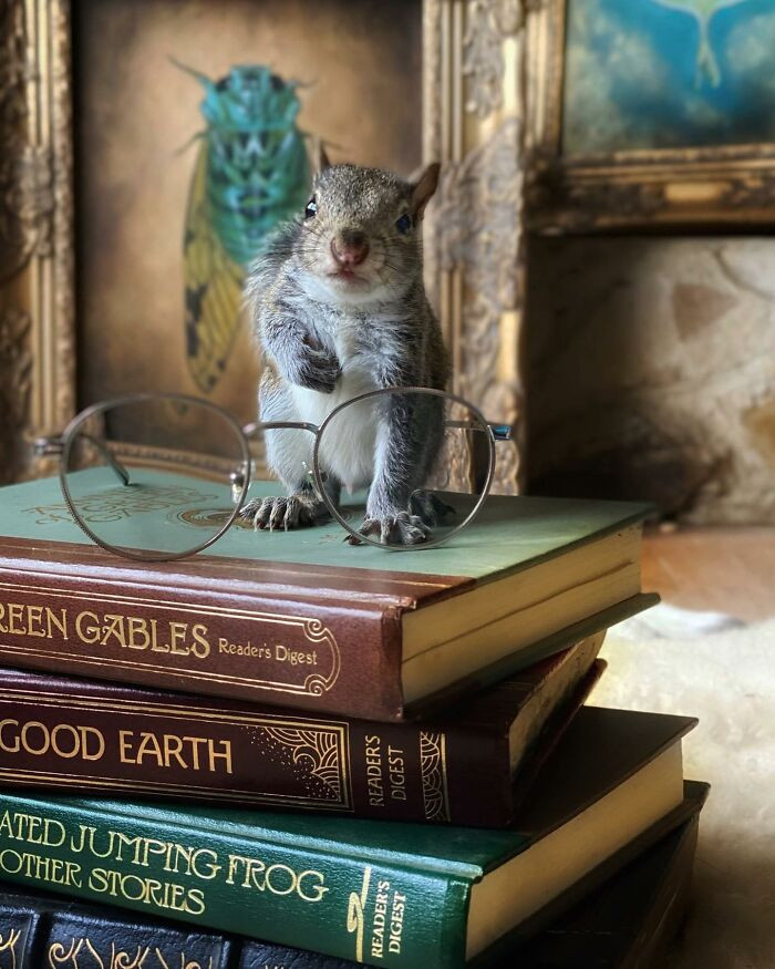 “The Reading List” By Jennifer Talley