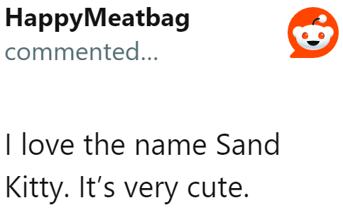 One user was a fan of the cat's name: Sand Kitty.