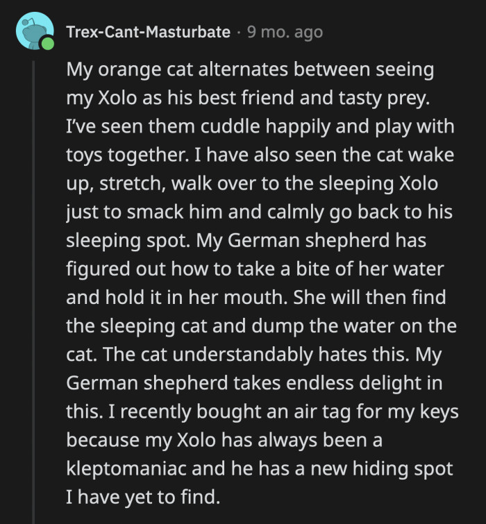 20. Never a dull (or dry) day in this house!