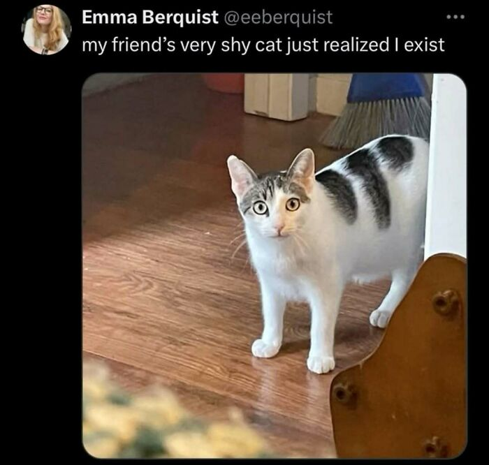 35. “He just unlocked a new NPC in his house.”