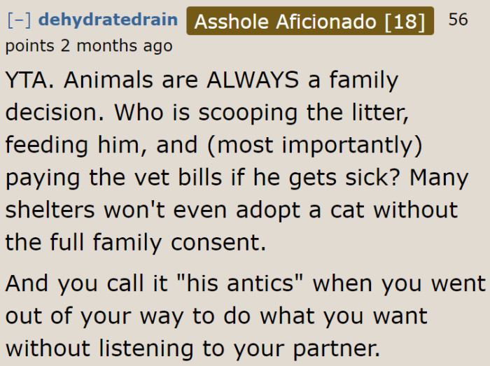 The community pointed out that every family member needs to agree before getting a pet.