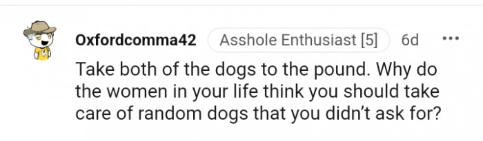 This Redditor is suggesting that the OP take the dogs to the pound