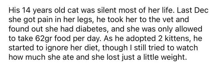 OP's BF eventually started ignoring the cat's strict diet.