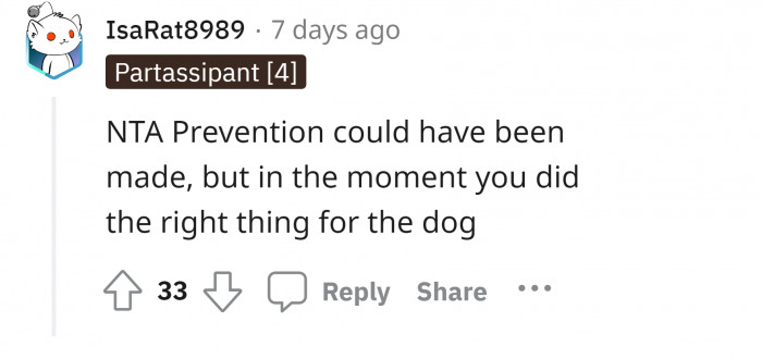 #11 Neutering as prevention.