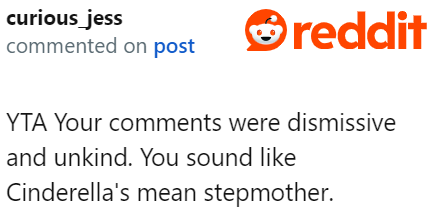 A couple of Redditors agree she's treating her cousin the way Cinderella was bullied.