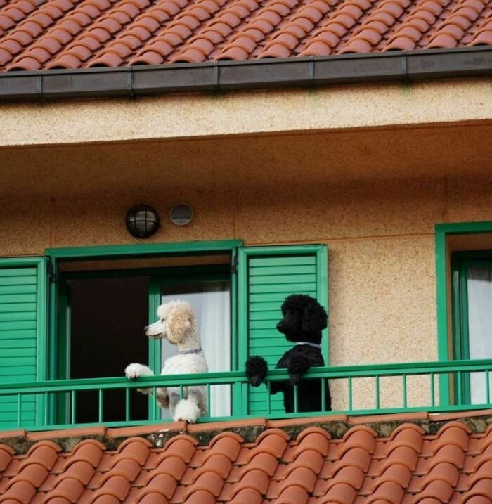 18. I don't know why, but I like this picture