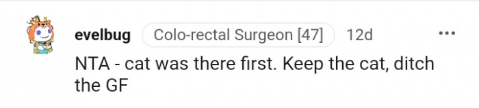 The cat was there after all