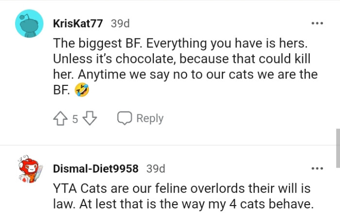 Cats are our feline overlords