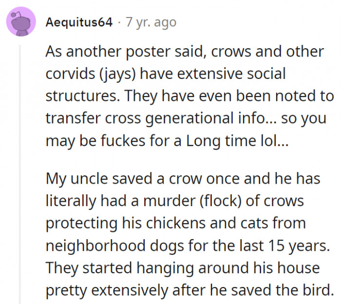 5. Maybe OP should try saving one of them to get back in their good graces