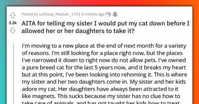A Cat Owner Tells Her Sister She Would Rather Put The Animal Down Than Give It To Her Because She Is Historically A Neglectful Pet Owner