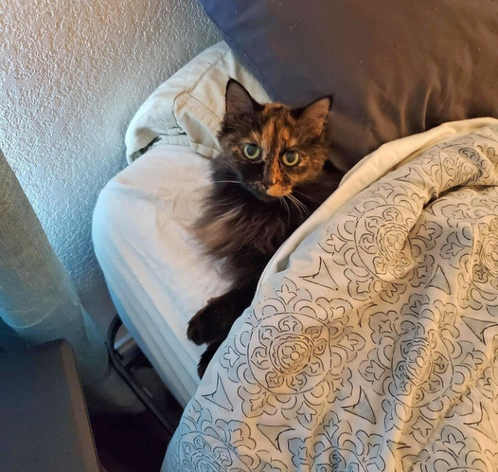 5. "We can share your bed, or you can sleep on the floor. The choice is yours."