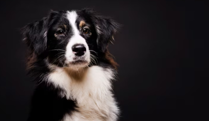 Tuxedo and Formal Names
