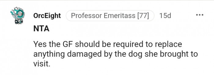 The girlfriend should be required to replace it