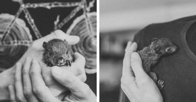 Talented Photographer Gets Adopted By A Squirrel And Shares 22 Adorable Pictures Of It