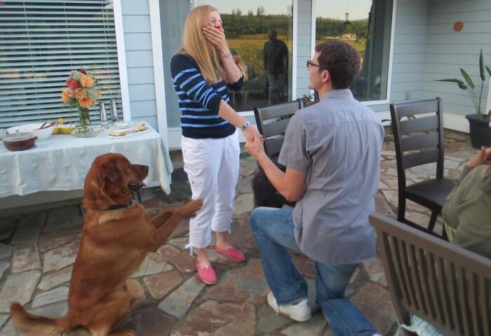 5. When the dog joins the proposal and makes sure she says yes