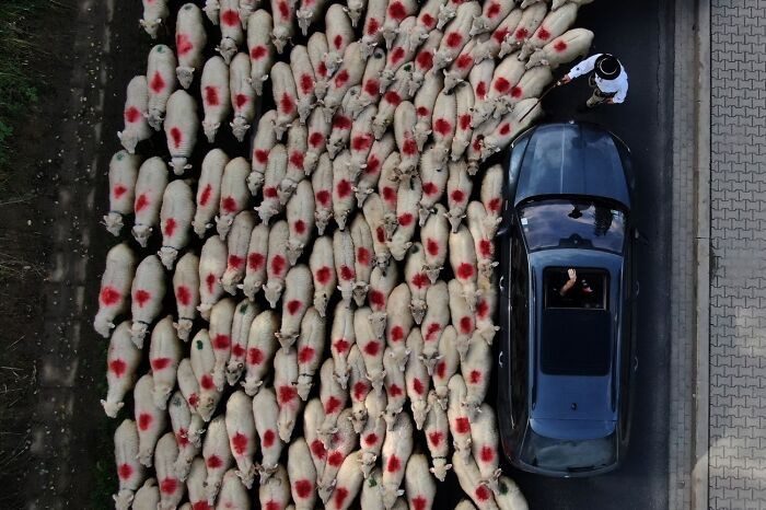 “Traditional Polish Redyk” By Bartlomiej Jurecki