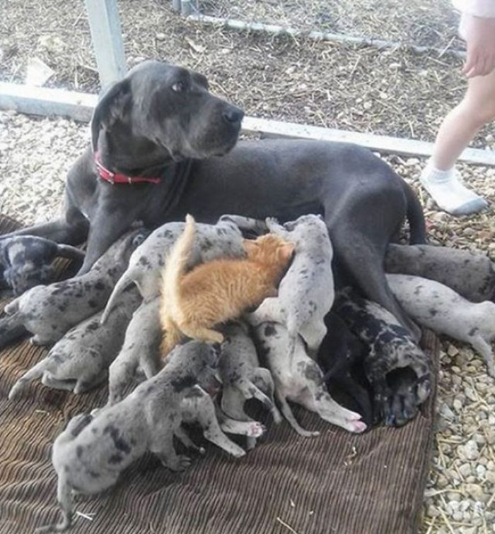 26. Find the Intruder