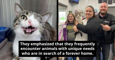 Brave Cat With Only One Eye And Nostril Is Finally Adopted By Loving Family