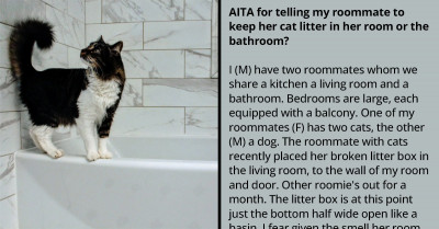 Redditor Having Trouble With Roommate Who Insists On Having Litter Boxes For Her Cats In The Living Room