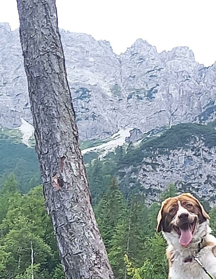 16. This is the best kind of photobomb ever