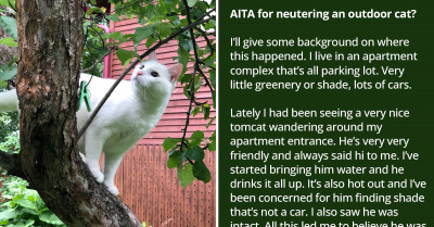 Good Samaritan Neuters A Presumed Stray Cat That Turns Out Not To Be Stray At All
