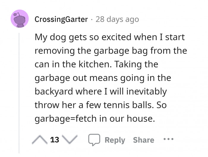 21. "Garbage bag means fetch in our house."