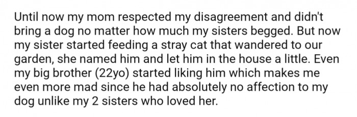 Up until recently, his mom seemed to side with him and didn't cave to his siblings' requests for a new dog.