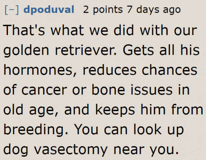 The effect of vasectomy