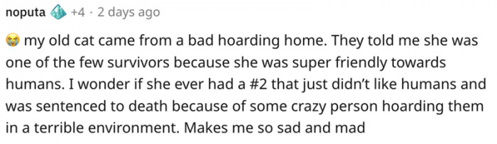 6. My old cat was one of the few survivors