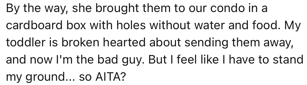 OP has decided to send the chicks back. Although their son is sad, they’re standing their ground on this one