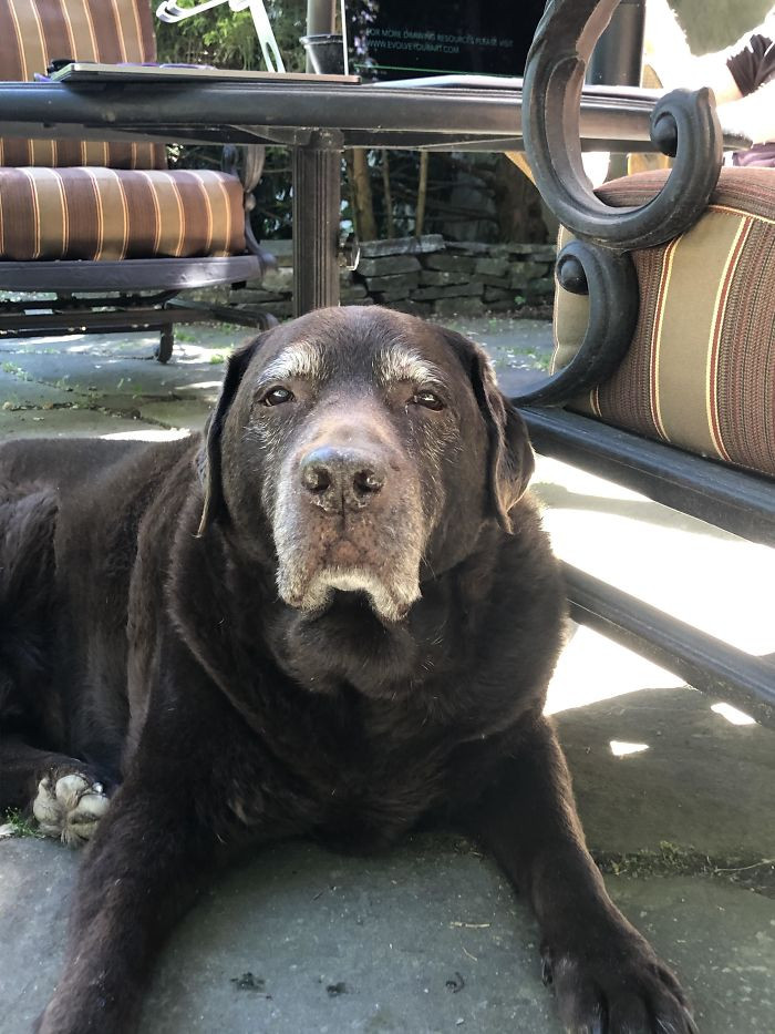 40. Muddy doesn’t appreciate you staring at him. But we can’t help it!