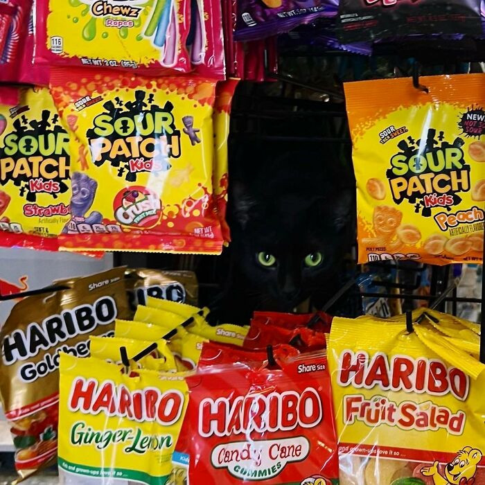 4. If I saw this while getting Sour Patch Kids, I would be scared