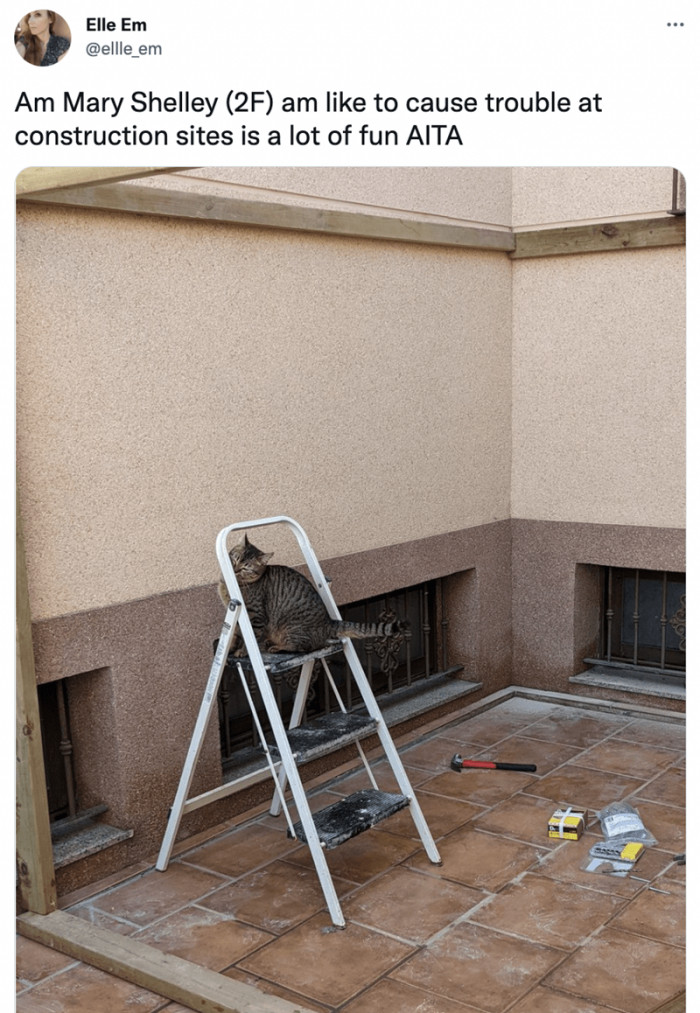 6. Hey Mary, don't you think it's better to stop causing trouble?