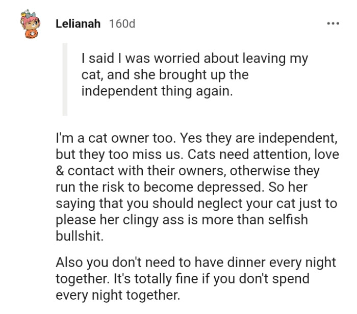 From a Redditor who's a cat owner too