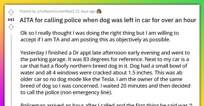 Reddit User Calls Police After Seeing A Dog Inside A Car On A Hot Day, Officer Tells Her To Move On