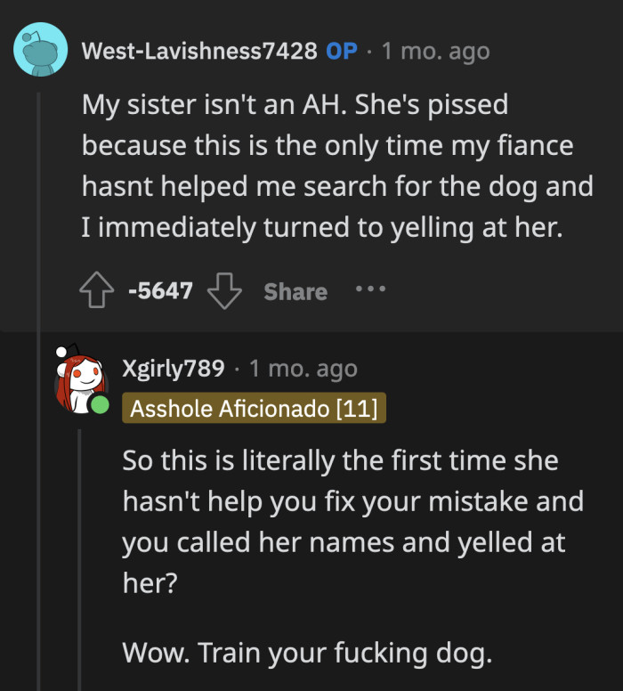 This was the first and only time his fiancée didn't help him search for his dog, and he got this nasty. OP's sister has a point.