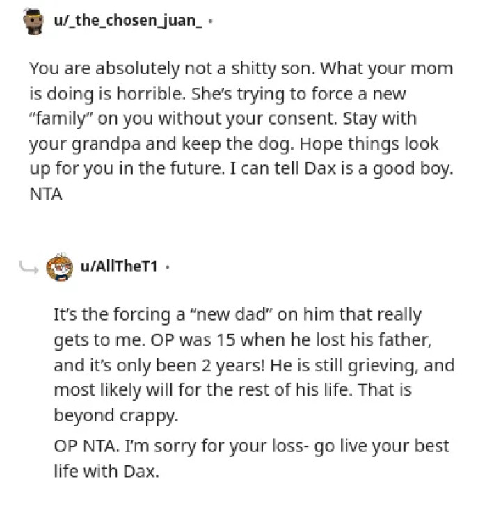 Most Redditors took the OP's side and considered the mom a horrible parent.