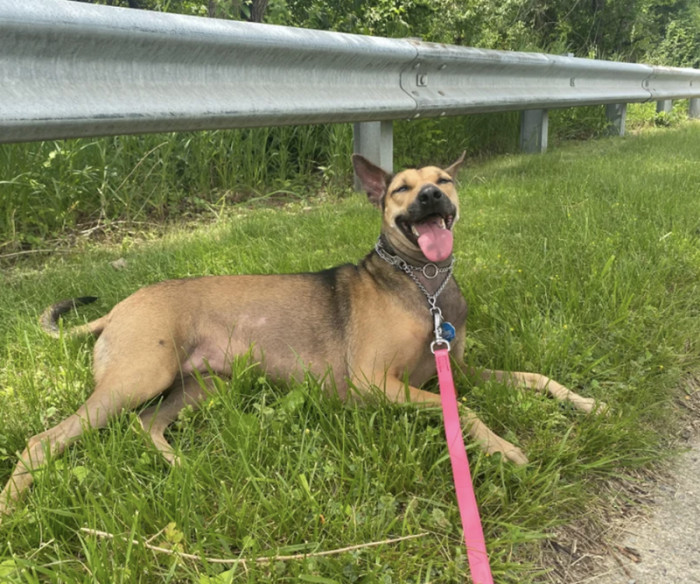 Look at the cutie now