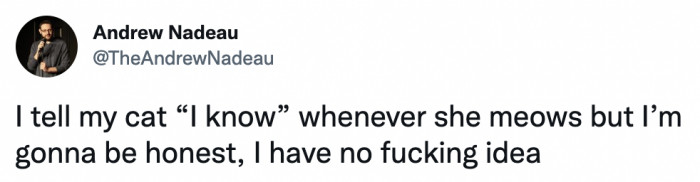 25. Be careful; you could be agreeing to some late-night cat burglar-ing