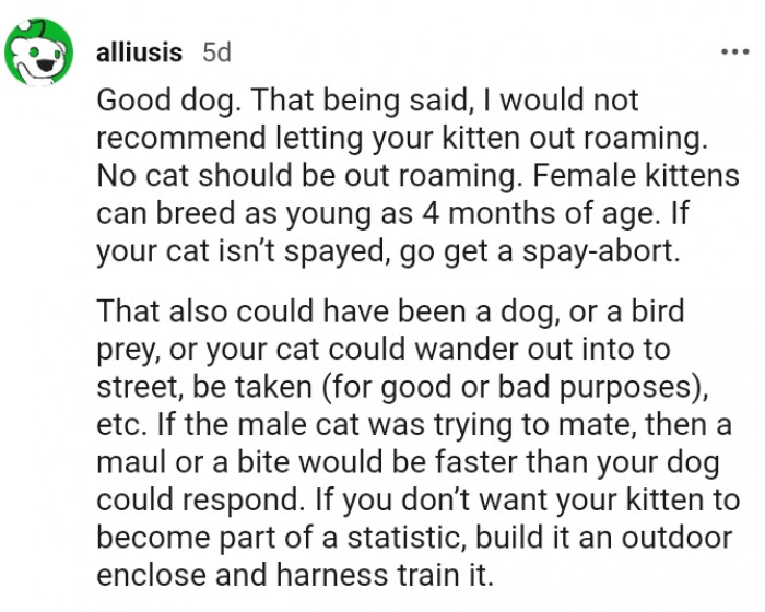 9. No cat should be out roaming