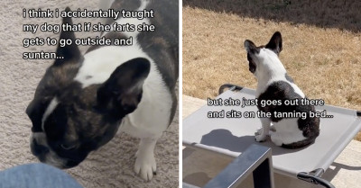 Mom Mistakenly Trains Dog to Fart in Her Presence Anytime She Wants to Go Outside and Suntan (Videos)