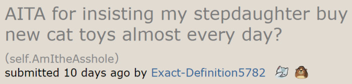 After her family told her that she was being petty, the OP decided to ask the AITA community.