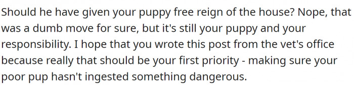 The puppy is their responsibility.