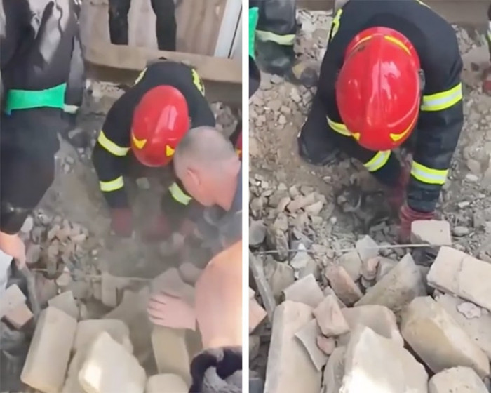 A puppy is rescued by Ukrainian police from a destroyed house near Donetsk that was bombed by Russian forces.
