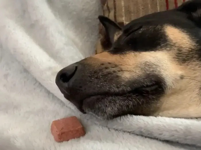 1. The Genesis of It All