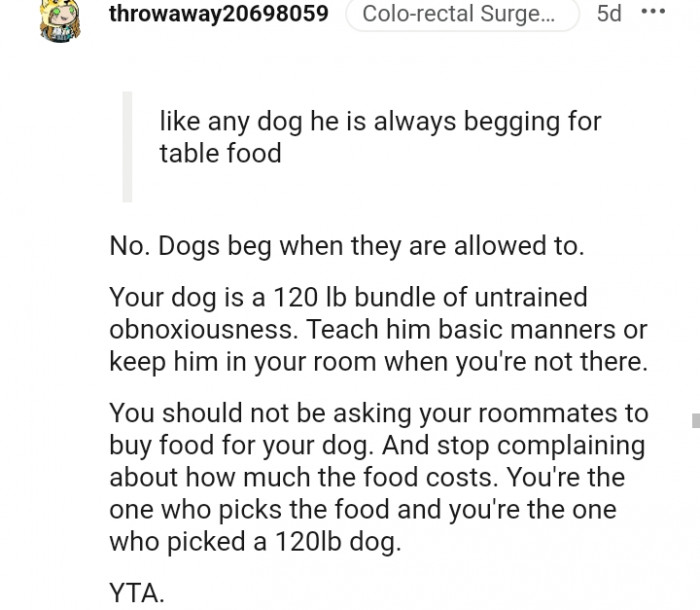 15. Dogs Beg When They Are Allowed To