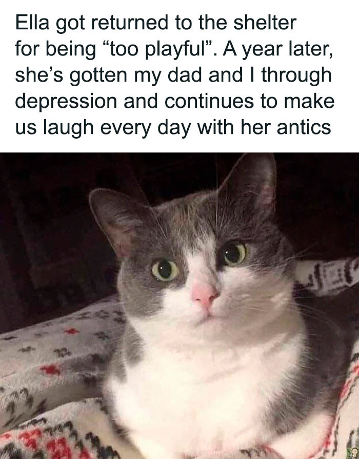 6. There is no 'too playful' cat; she is perfect