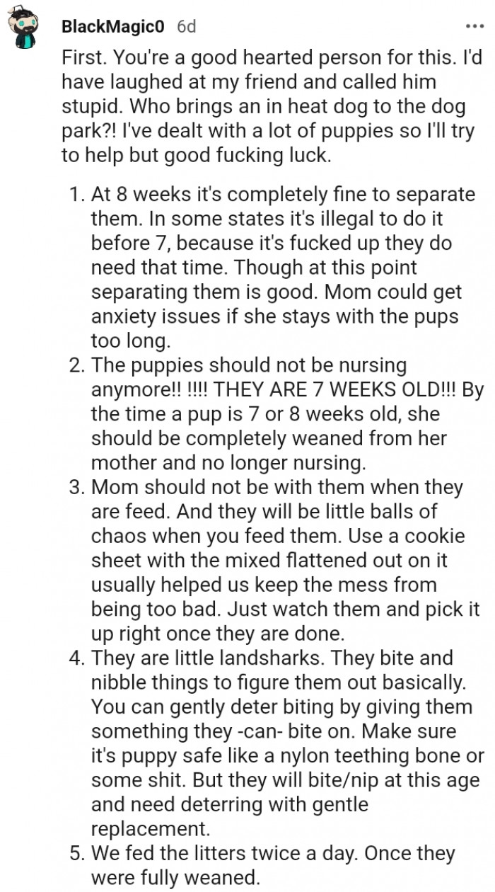 15. Advice from someone who has dealt with a lot of puppies